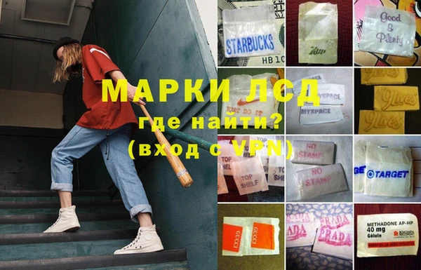 гашик Вязники