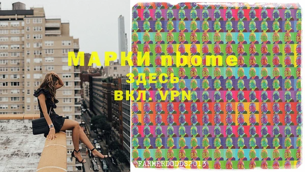 гашик Вязники