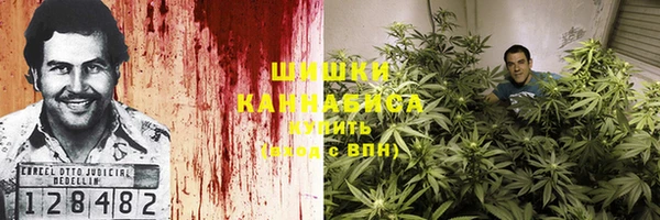 СК Горнозаводск