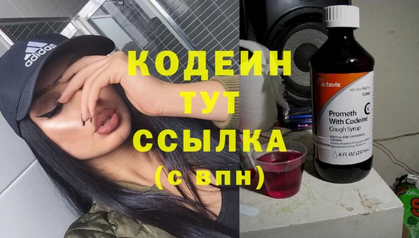 СК Горнозаводск