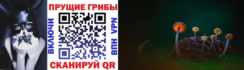 цены наркотик  Данилов  Галлюциногенные грибы Psilocybine cubensis 